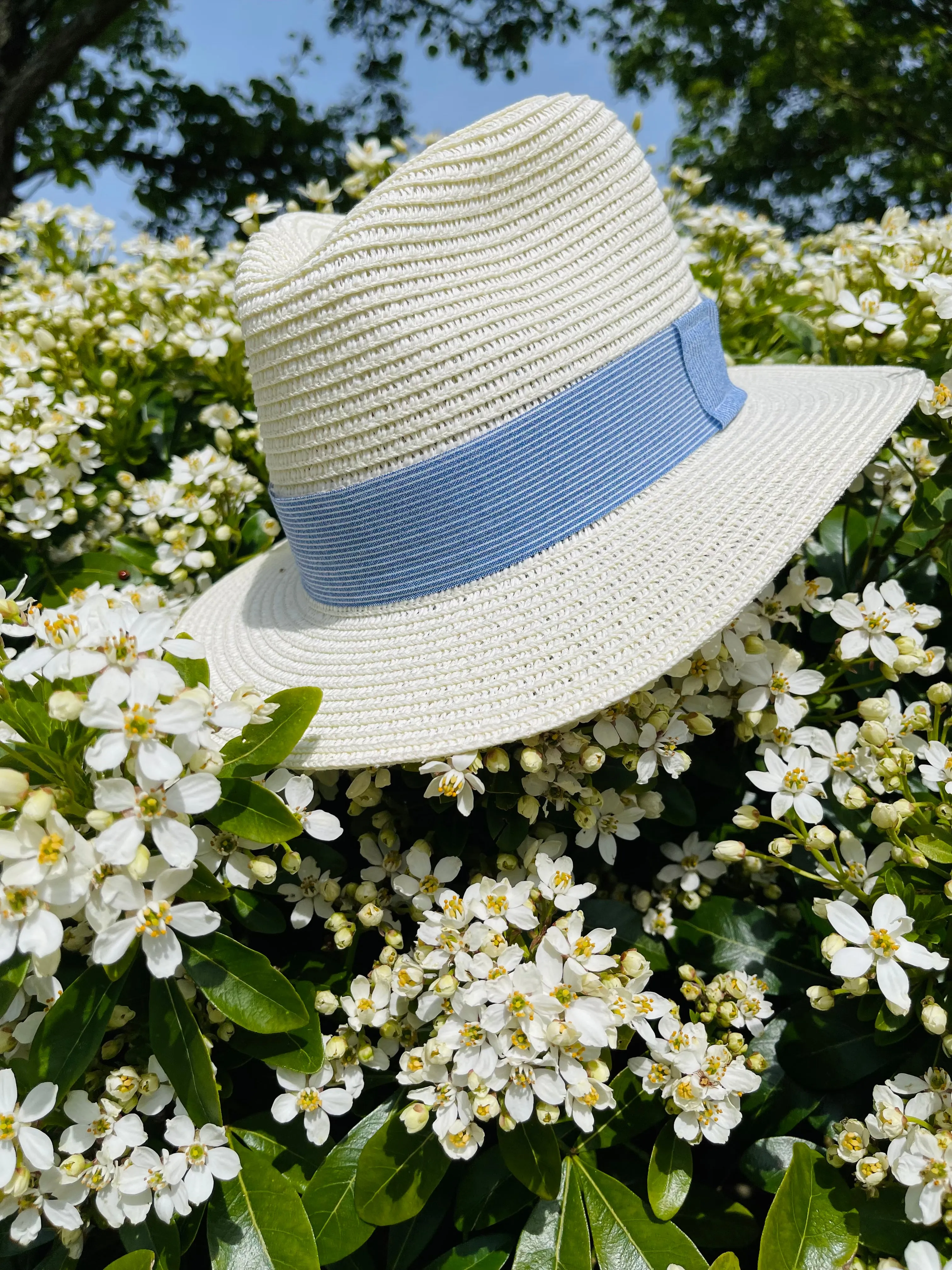 Blue linen stripe band