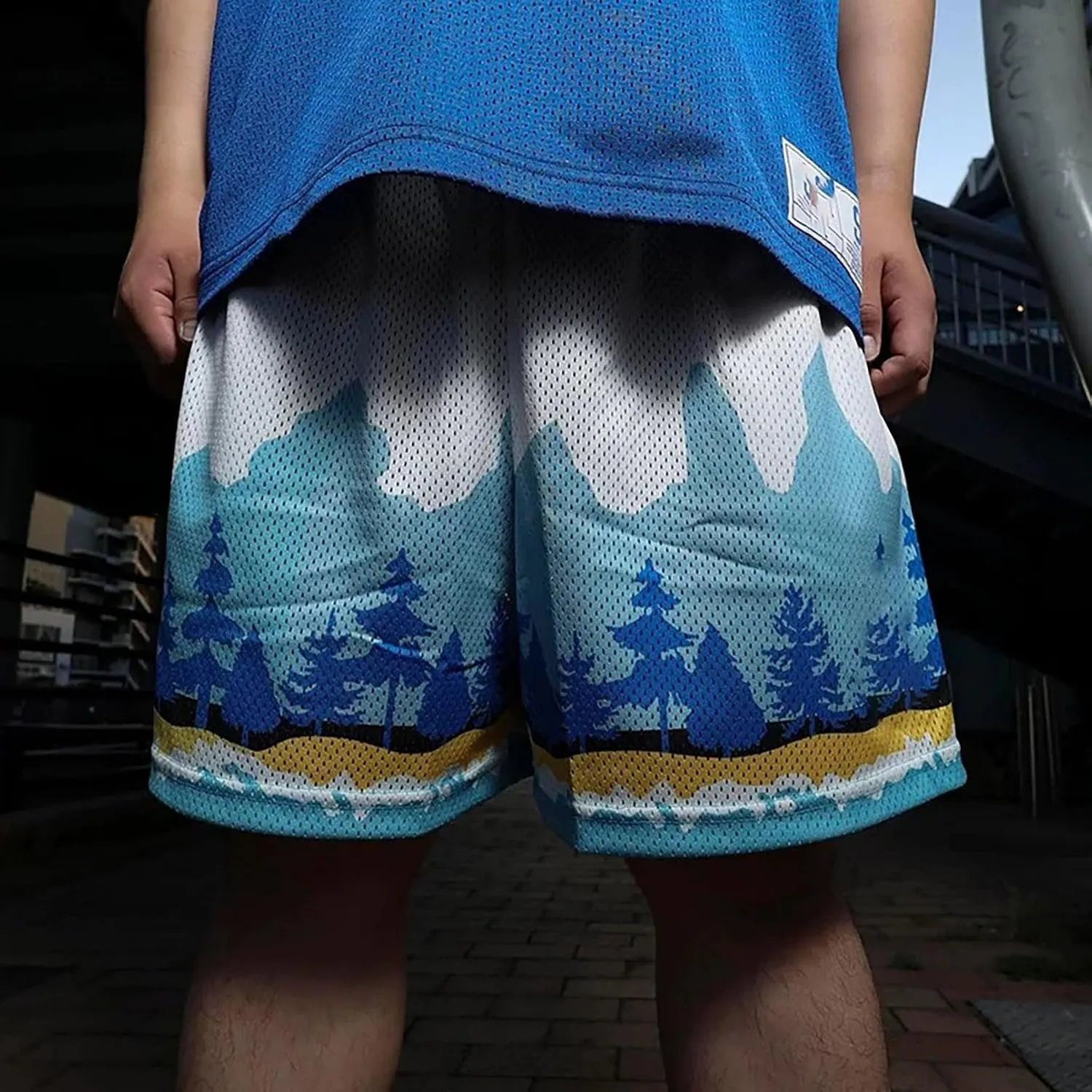 BOOMLEMON Mens Mesh Graphic Print Shorts Summer Basketball Running Shorts Retro Casual Cool Streetwear Short Pants