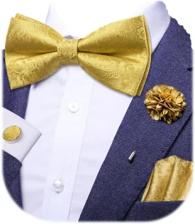Dubulle Bowtie for Men Paisley Floral Mens Pretied Bowtie and Lapel Pin Set Pocket Square Cufflinks Wedding
